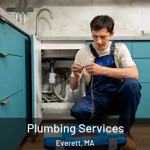  Plumbing Services Everett, MA